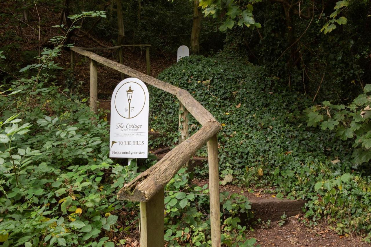 In The Wood Great Malvern